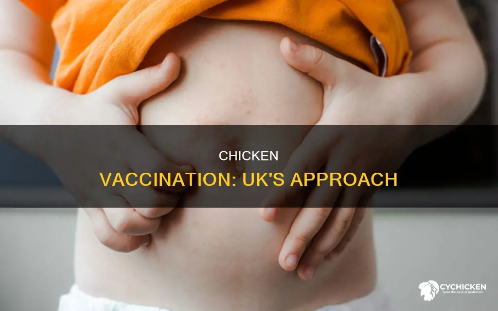 do they do the chicken vaccination in the uk