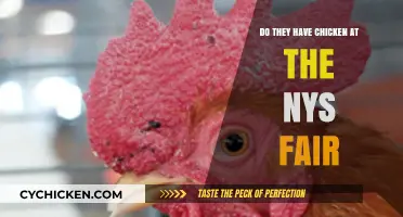 Exploring NYS Fair Food: Is Chicken on the Menu?
