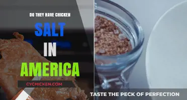 Chicken Salt in America: A Tasty Mystery Unveiled