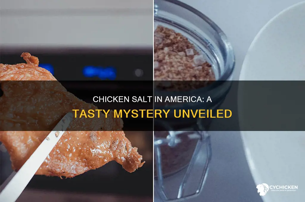 do they have chicken salt in america