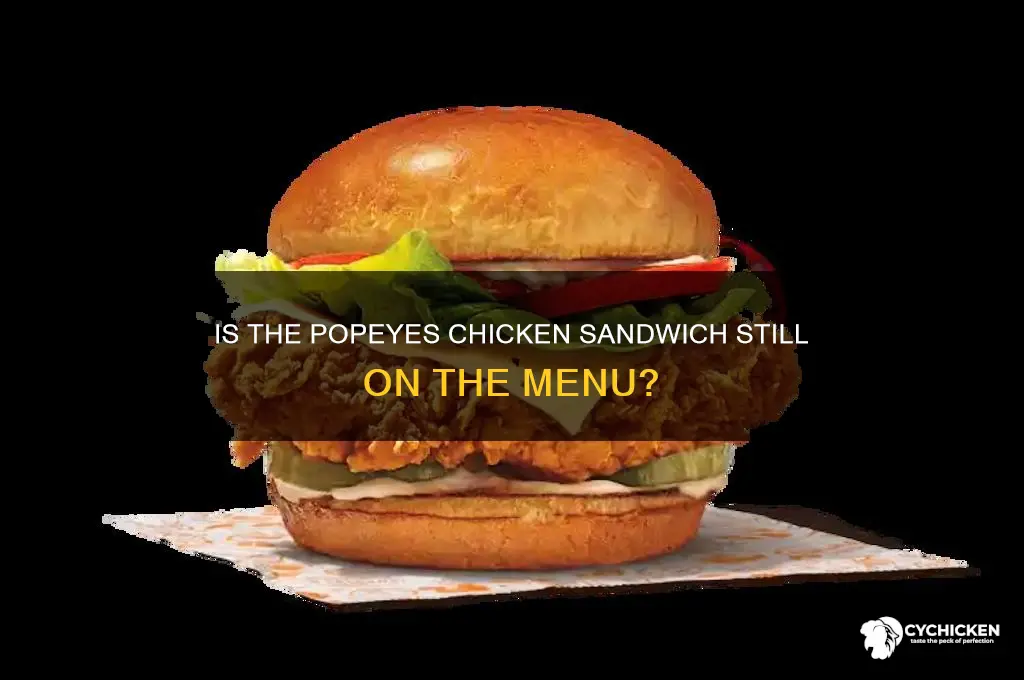 do they have popeyes chicken sandwich still