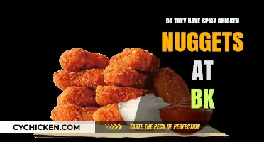 Are BK's Spicy Chicken Nuggets Worth the Hype? Find Out!