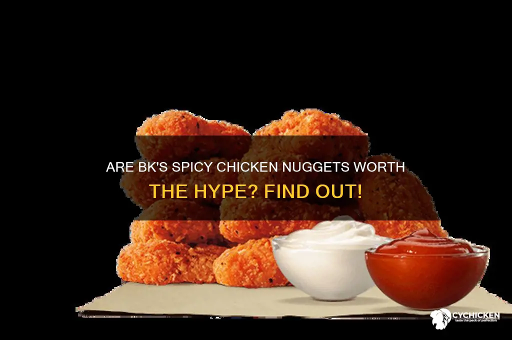 do they have spicy chicken nuggets at bk