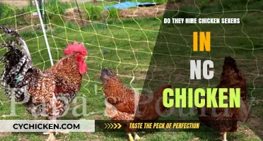 NC Chicken Farms: The Role and Demand for Chicken Sexers