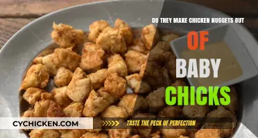 Are Chicken Nuggets Made from Baby Chicks? The Truth Revealed