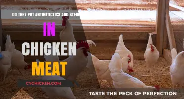 Chicken Meat: Antibiotics, Steroids, and You
