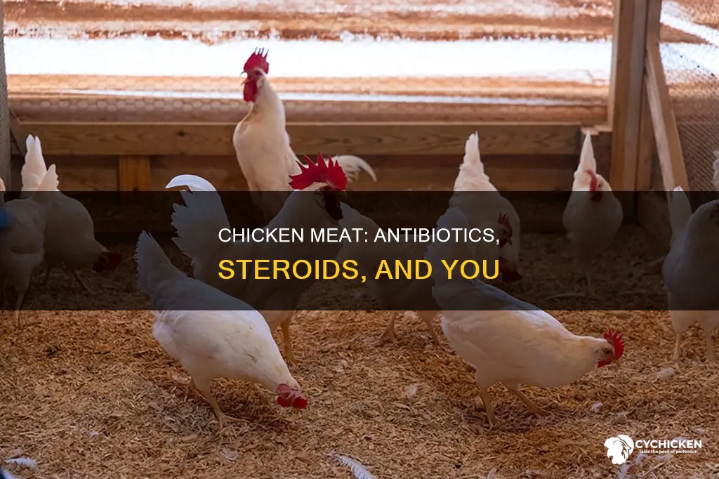 do they put antibotictics and steriods in chicken meat