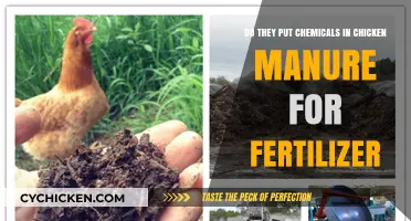 Chicken Manure Fertilizer: Chemical-Free or Chemical-Filled?