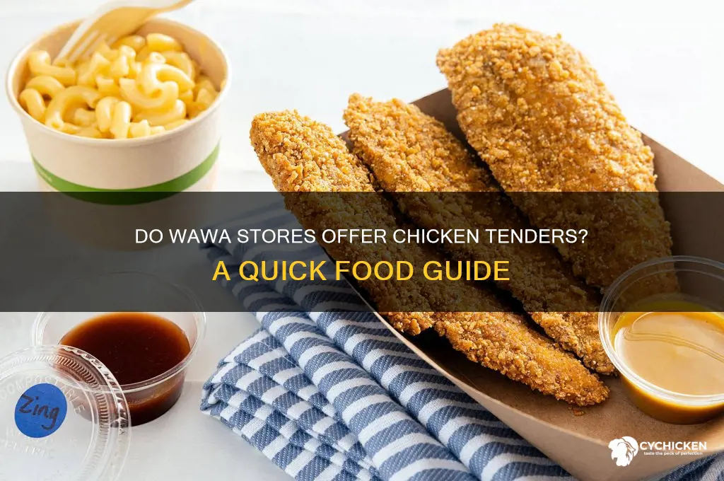 do they sell chicken tenders at wawa