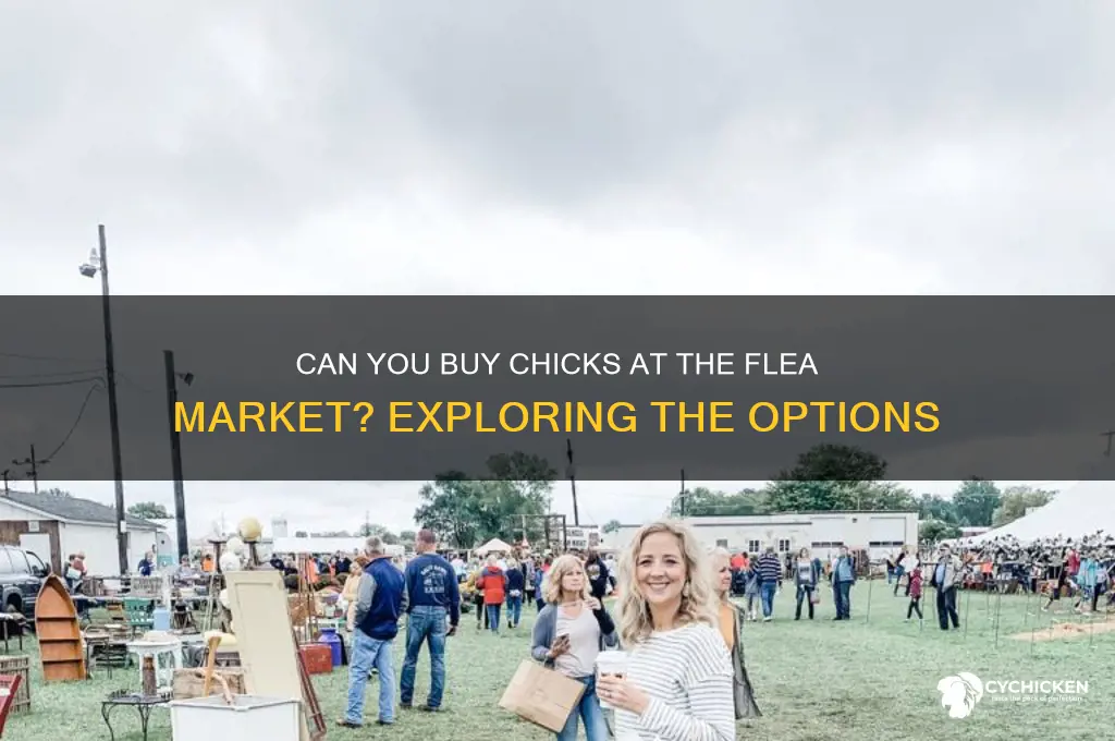 do they sell chicks at the flea market