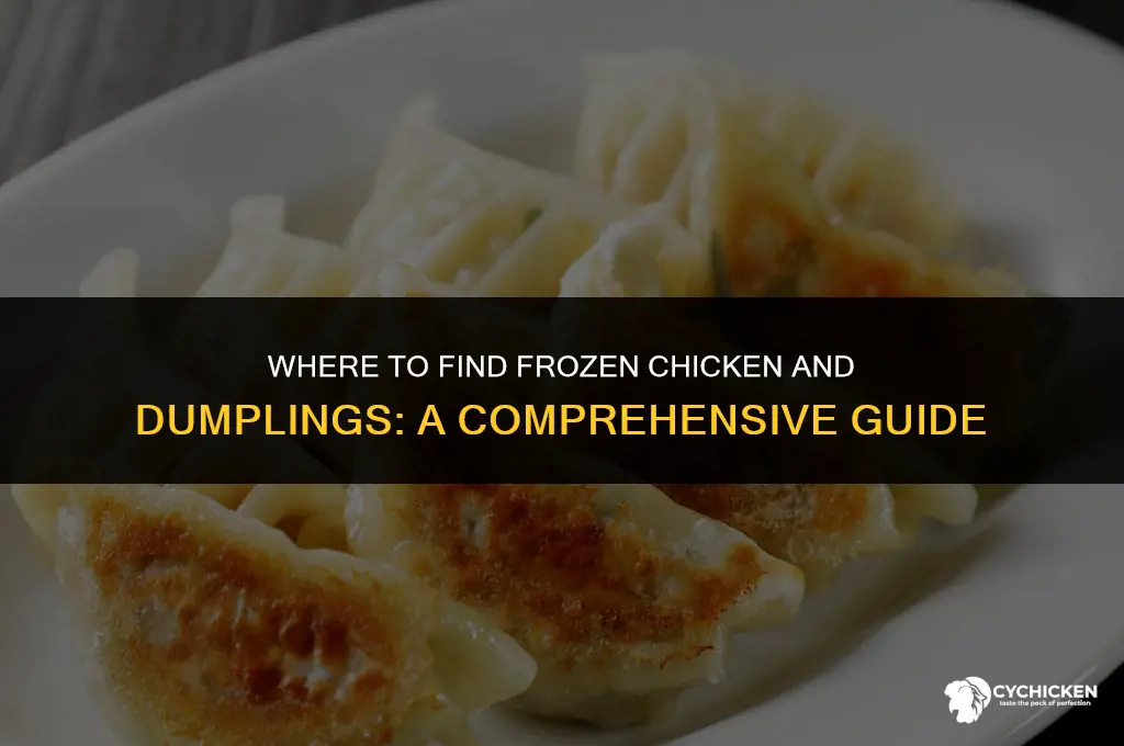 do they sell frozen dumplings for chicken and dumplings