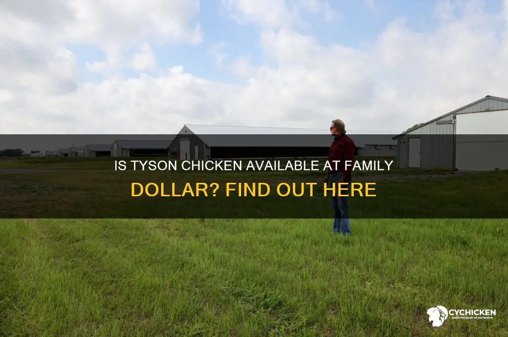 do they sell tyson chicken at family dollar