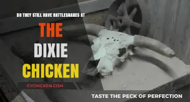 The Dixie Chicken: Rattlesnakes and All