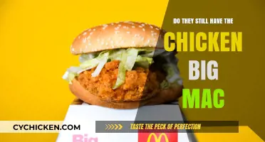 Is the Chicken Big Mac Still on McDonald's Menu?