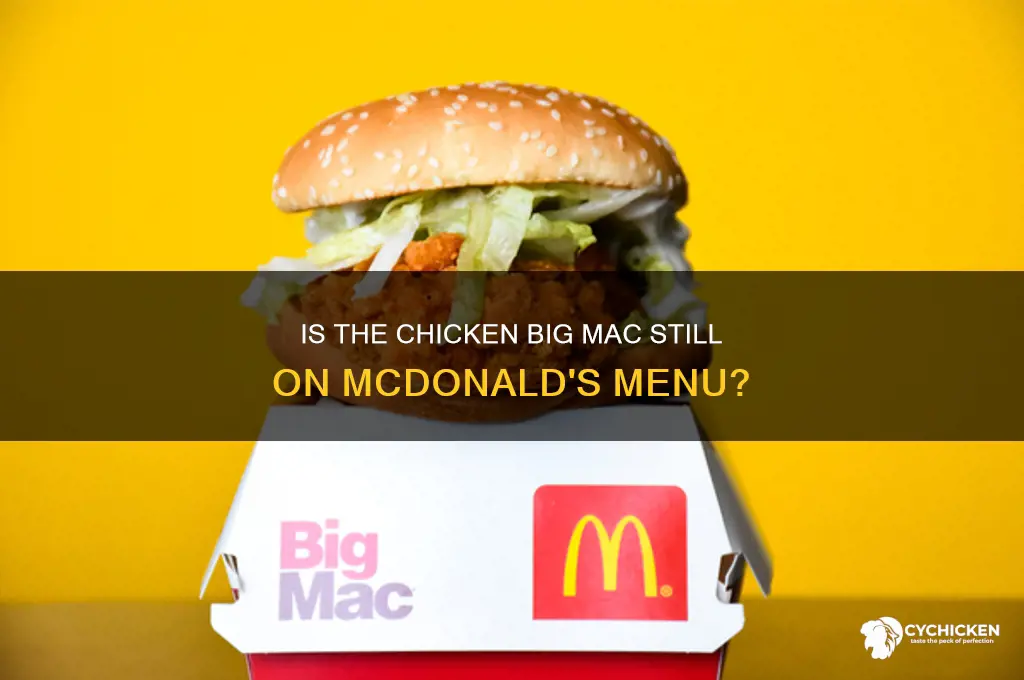 do they still have the chicken big mac