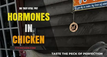 Hormones in Chicken: Fact or Fiction? The Truth Revealed