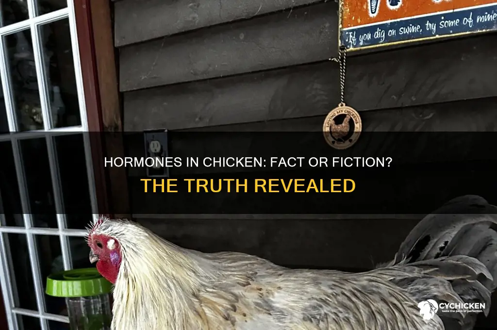 do they still put hormones in chicken