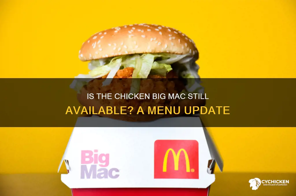do they still sell the chicken big mac