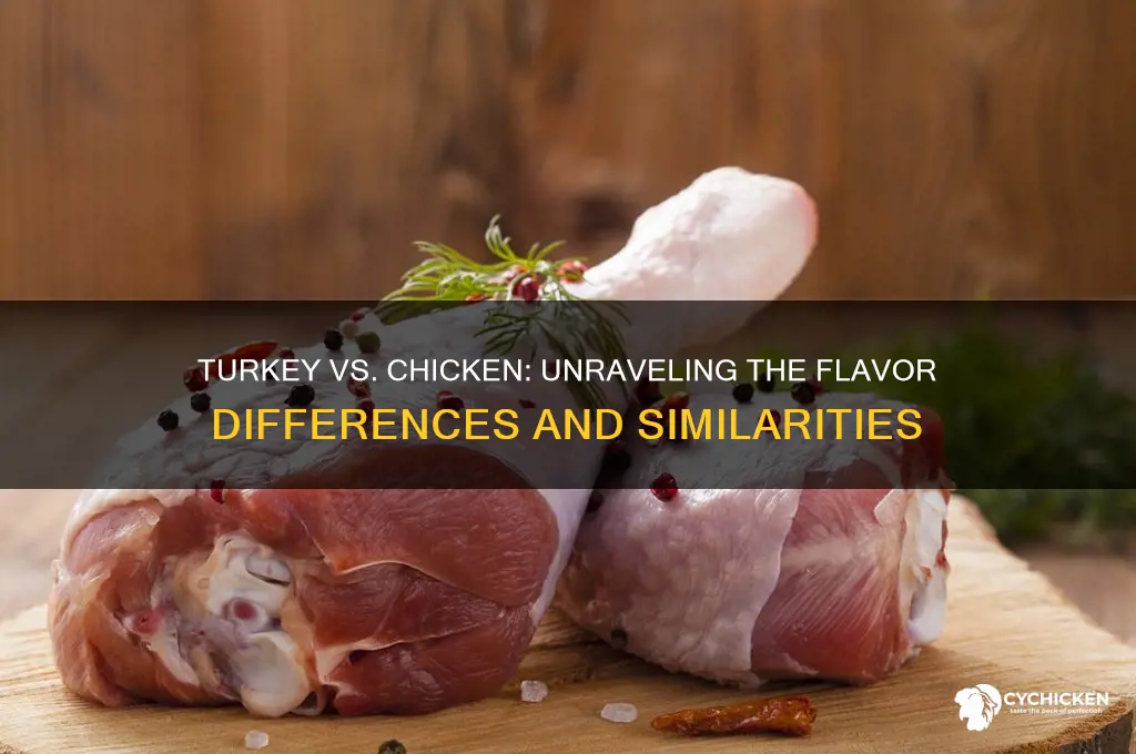 do turkey and chicken taste the same