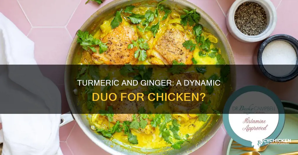 do turmeric and ginger go together to spice chicken