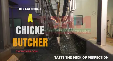 Scalding Chickens Before Butchering: Is It Necessary or Optional?