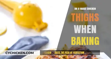 Baking Chicken Thighs: Should You Raise Them for Even Cooking?