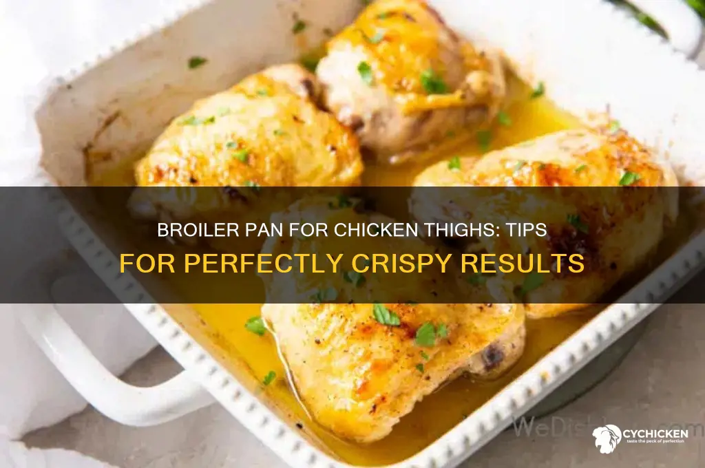 do u use broiler pan for chicken thighs