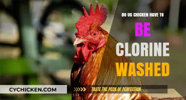 Chlorine-Washed US Chicken: Necessary Safety Measure or Unhealthy Practice?