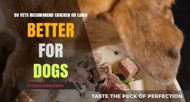Chicken vs Lamb: Vets Weigh in on Dog Nutrition