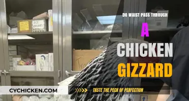 Can Waist Objects Safely Pass Through a Chicken Gizzard?