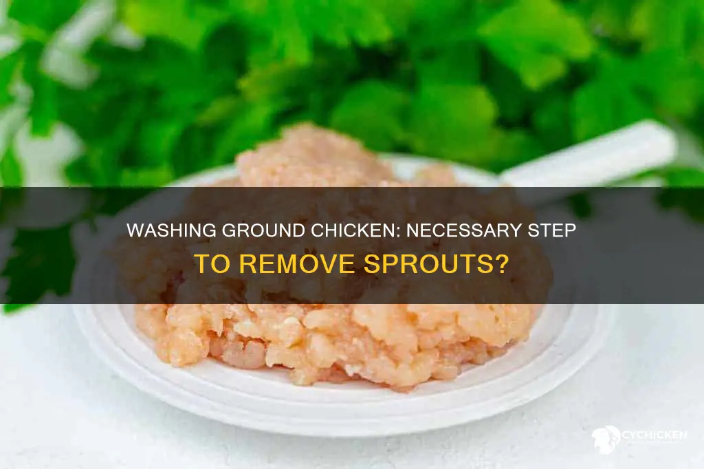 do we need to wash ground chicken from sprouts