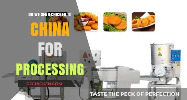 Is U.S. Chicken Sent to China for Processing? Uncovering the Truth