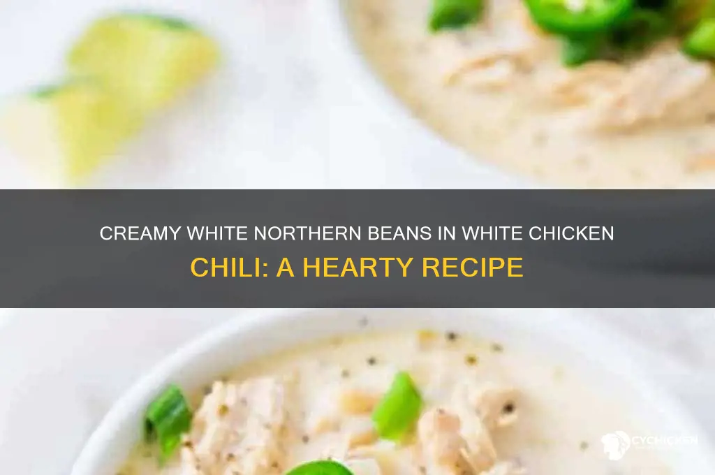 do white northern beans white chicken chili