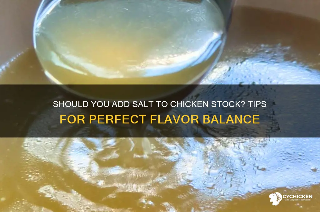 do you add salt to chicken stock