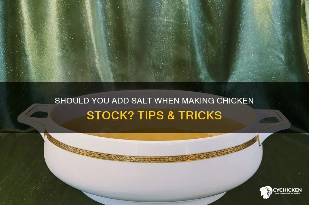 do you add salt when making chicken stock