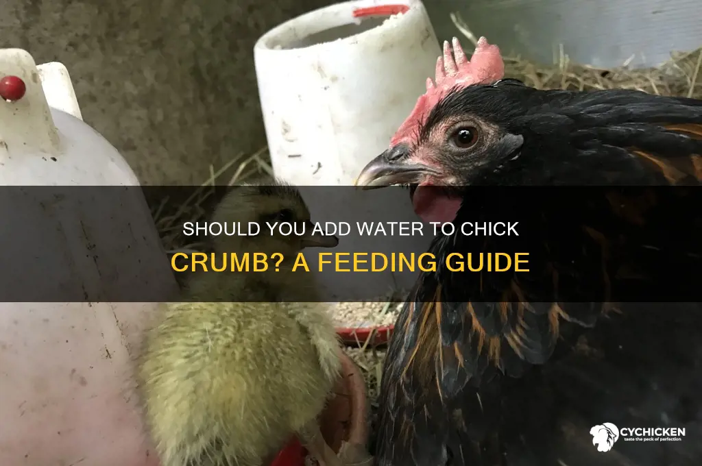 do you add water to chick crumb