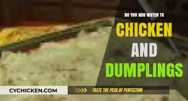 Perfect Chicken and Dumplings: Water Addition Tips for Fluffy Dumplings