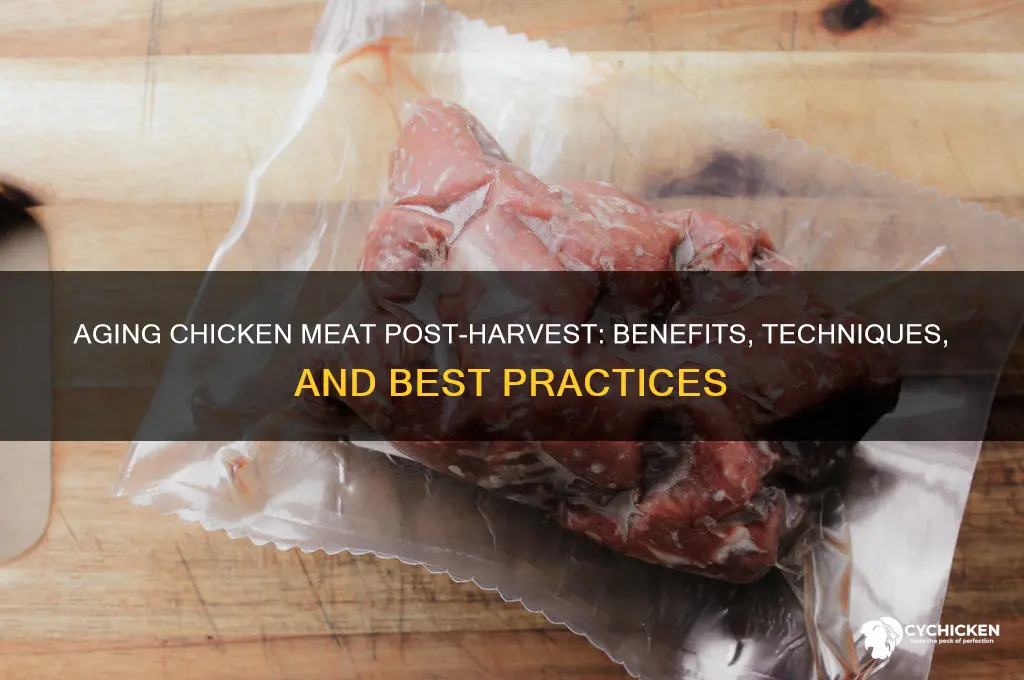 do you age chicken meat after harbesting