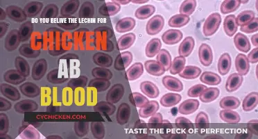 Chicken AB Blood: Lechin's Theory Examined