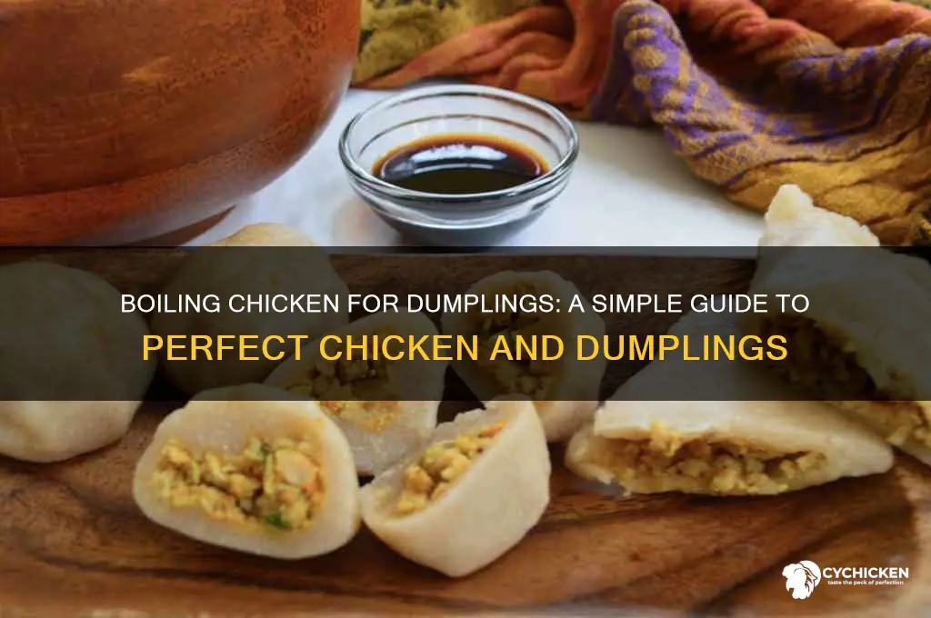 do you boil chicken for chicken and dumplings