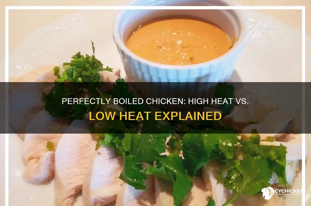 do you boil chicken on high or low
