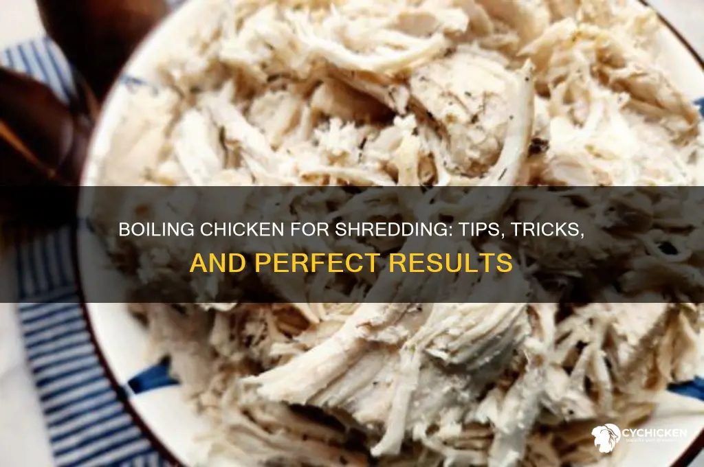 do you boil chicken to shred it