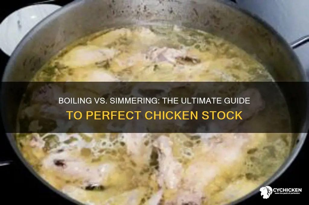 do you boil when making chicken stock