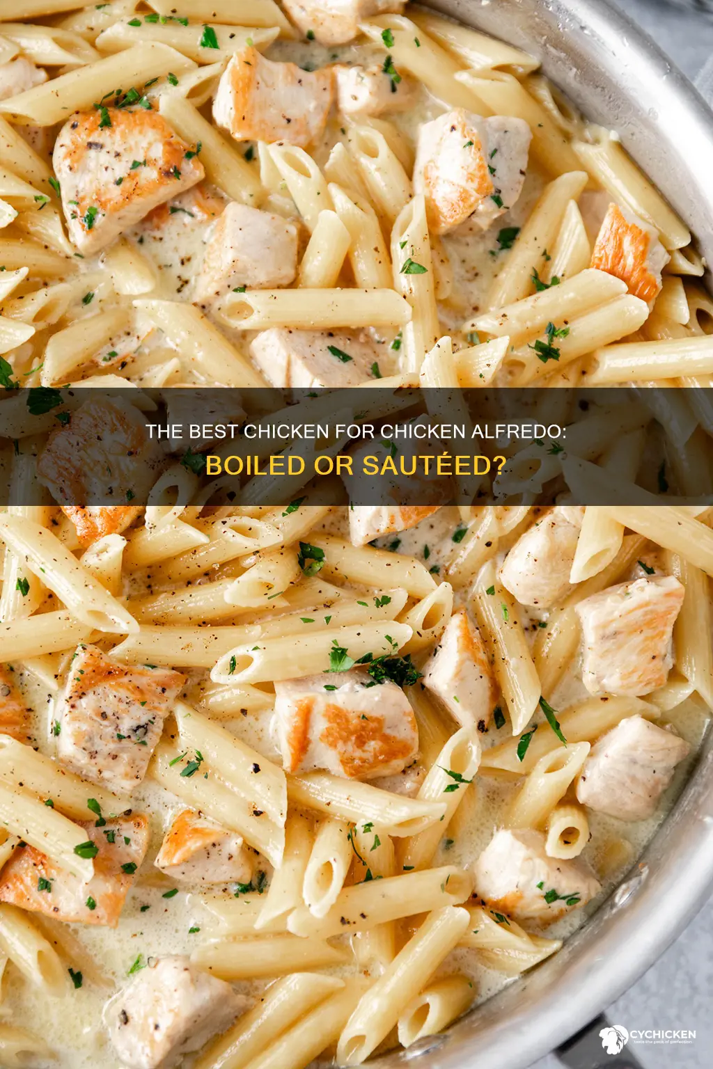 do you boiled or sauteed chicken for chicken alfredo