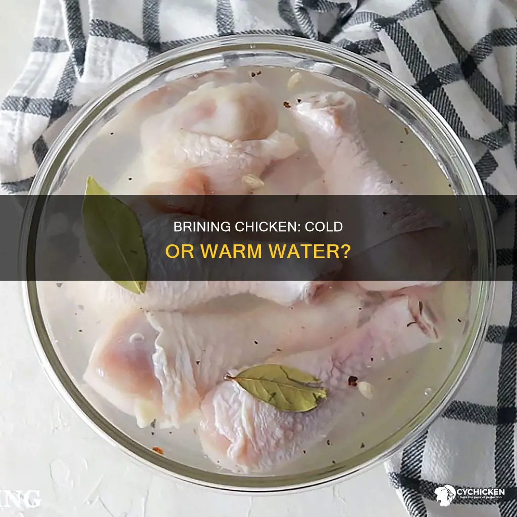 do you brine chicken in cold or warm water