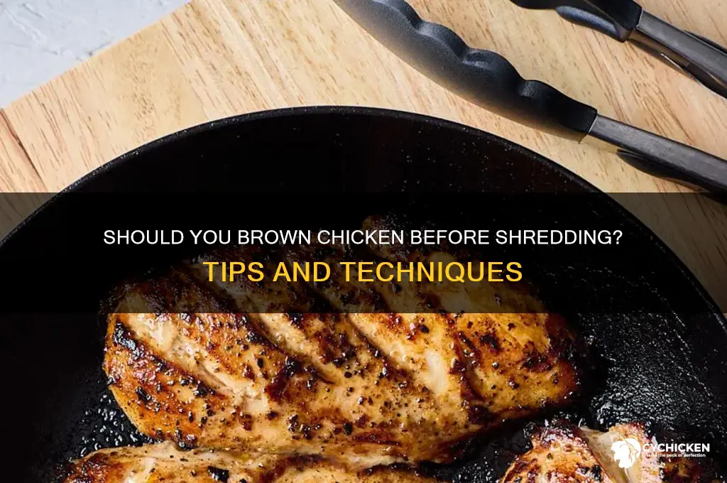 do you brown chicken before shredding services