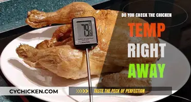 Checking Chicken Temp: Timing Tips for Perfectly Cooked Poultry