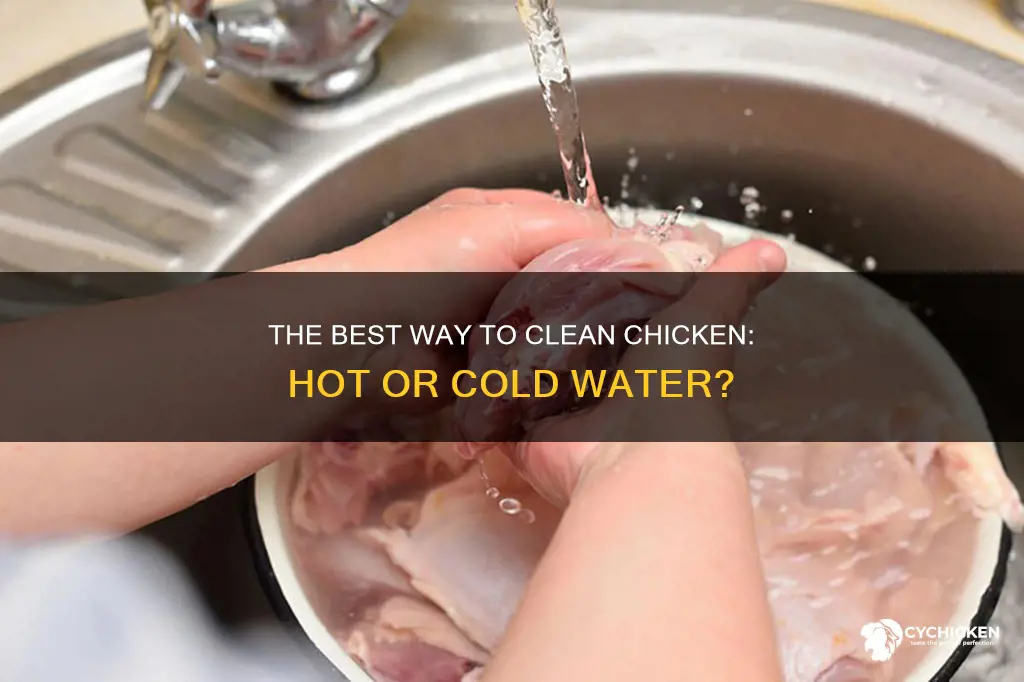 do you clean chicken in hot or cold water