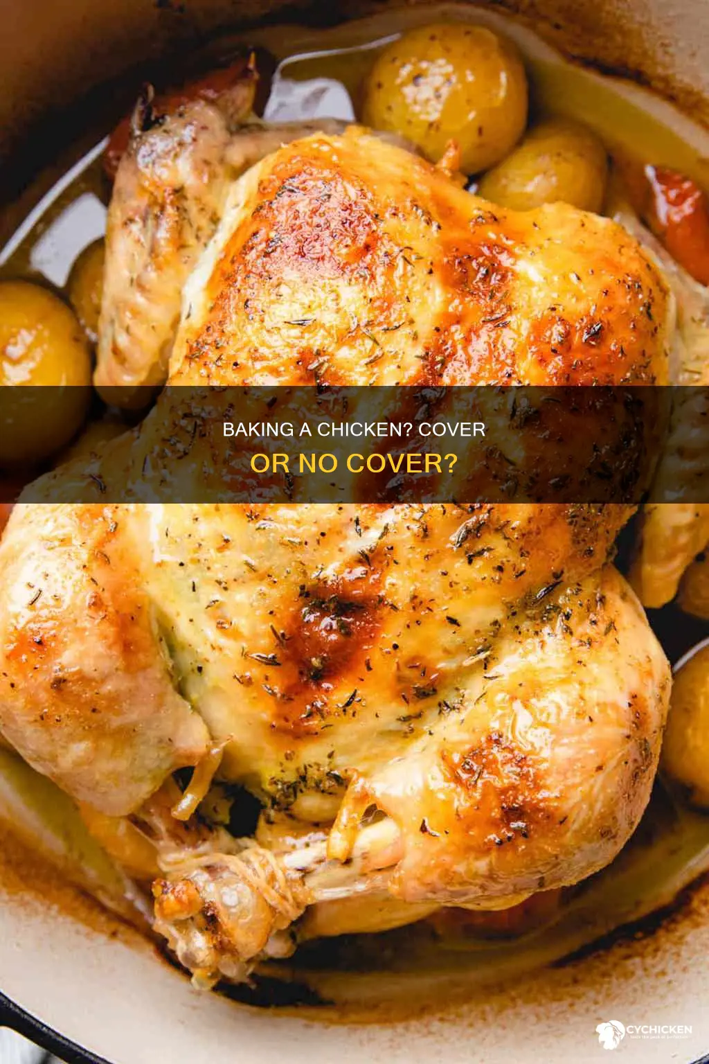 do you cover a 5 pound chicken when baking