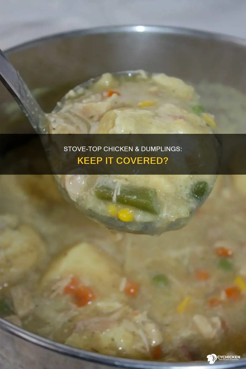 do you cover chicken and dumplings on the stove